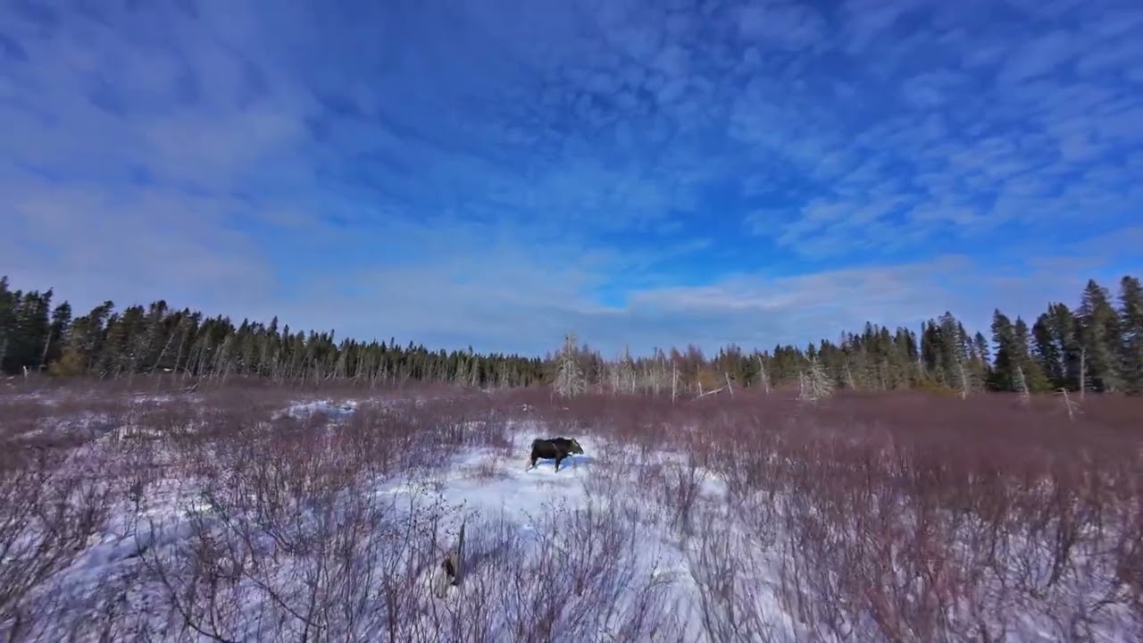 MY Birthday wish came True :) FPV