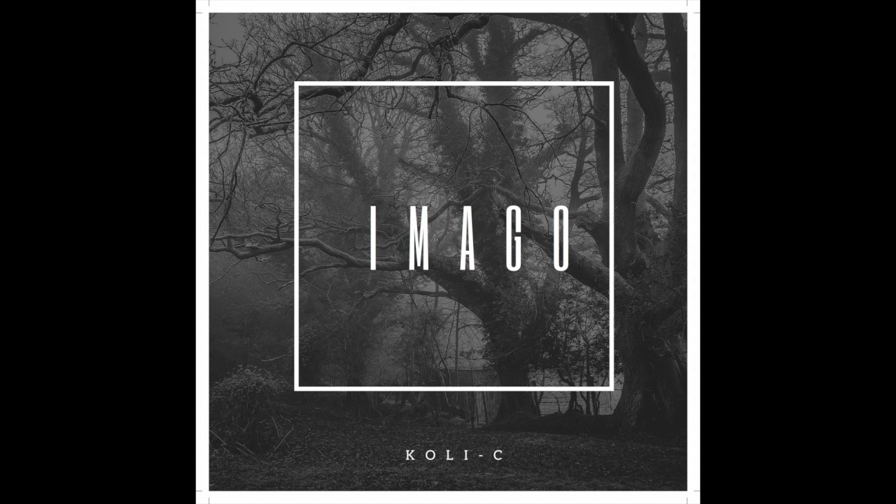 Koli-C - Koli Valvoo