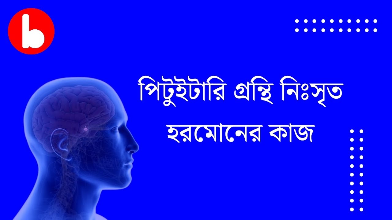 পিটুইটারি গ্রন্থি নিঃসৃত হরমোনের কাজ