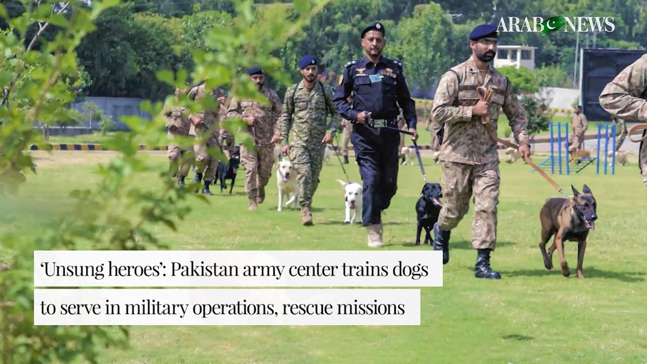 Pakistan army center trains dogs to serve in military operations, rescue missions