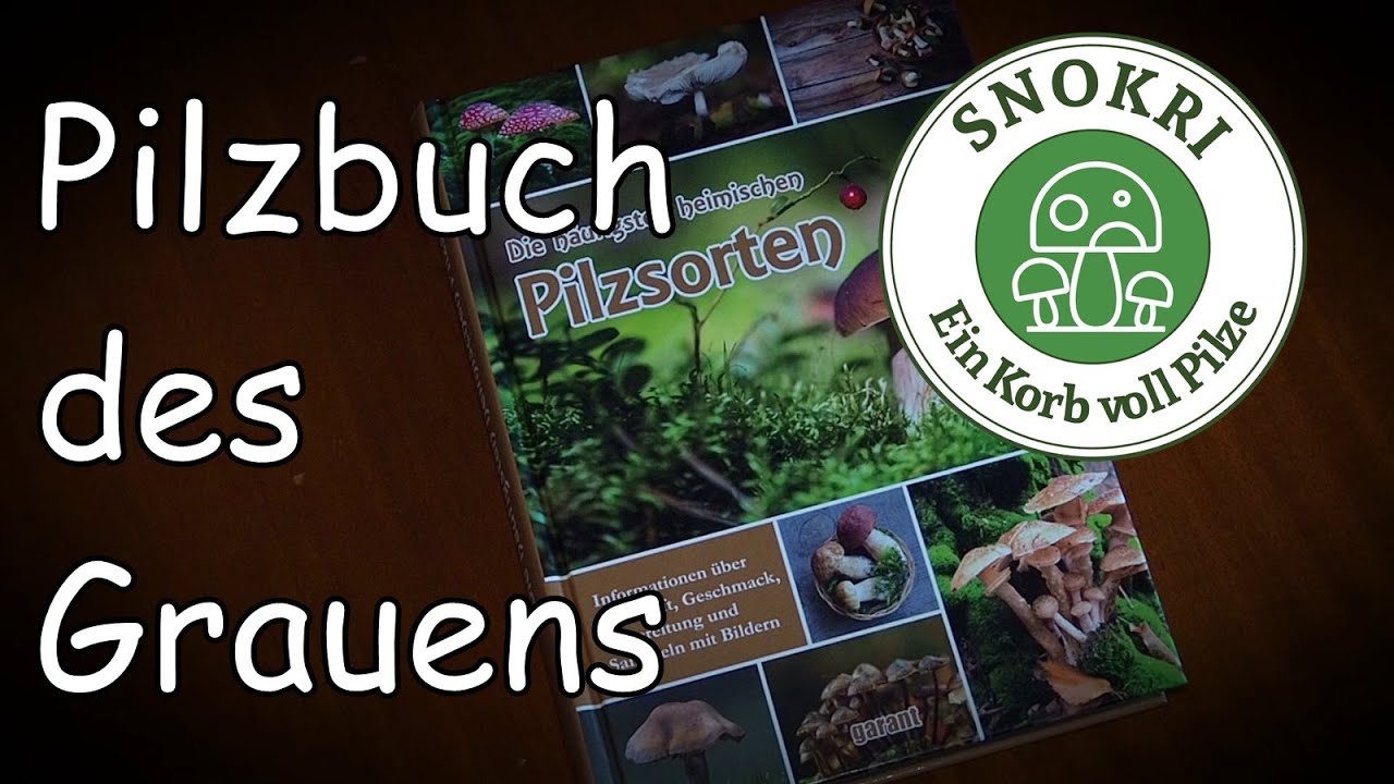 Pilzbuch des Grauens - Die h&auml;ufigsten heimischen Pilzsorten