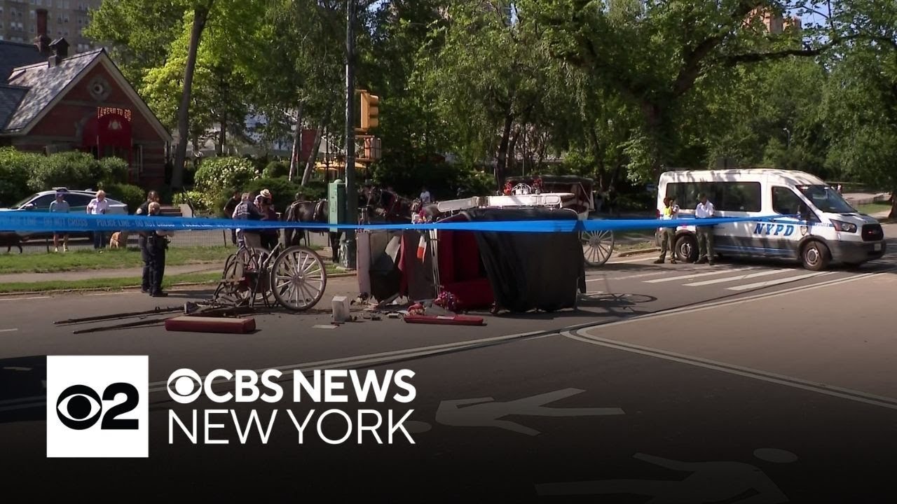 Passenger thrown from horse carriage in Central Park, critically injured