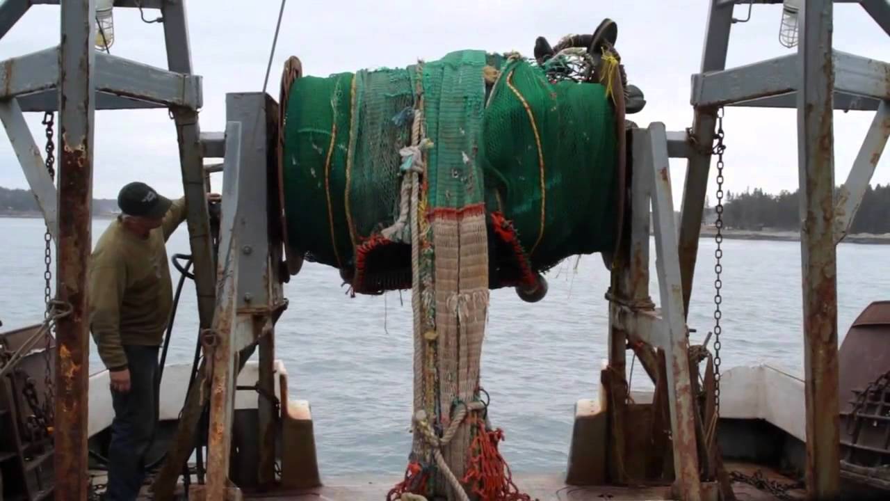 Maine Coast Fishermen's Association