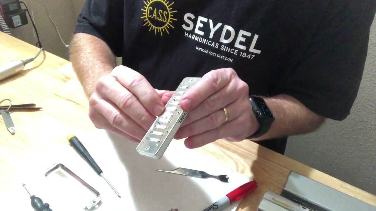 Country Tuning A Seydel Diatonic Harmonica