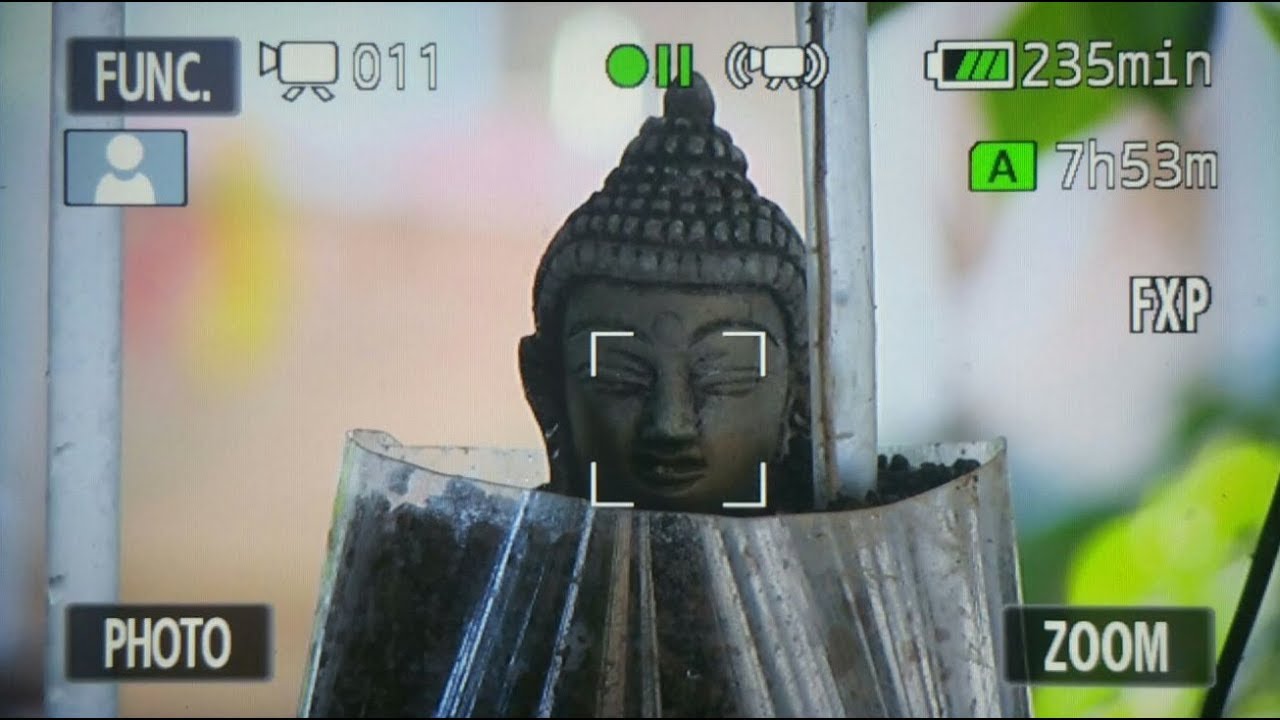 La raíz y el buda - Fin de proyecto