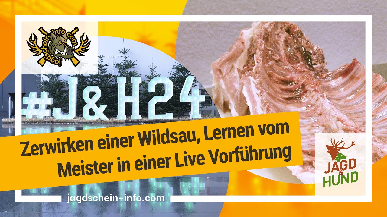 Jagd & Hund 2024 - Zerwirken einer Wildsau, Lernen vom Meister in einer Live Vorführung