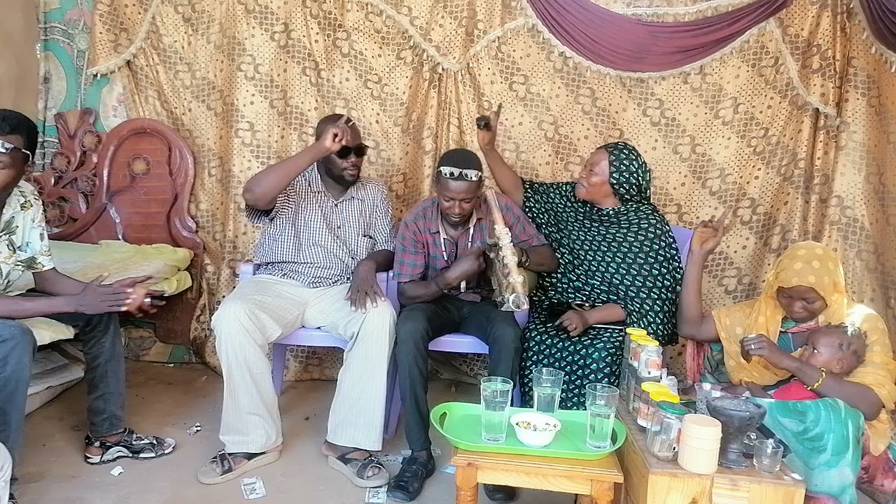 بدر خلعة 😎فنان الربابه امجد كاشه جبال النوبه🎤