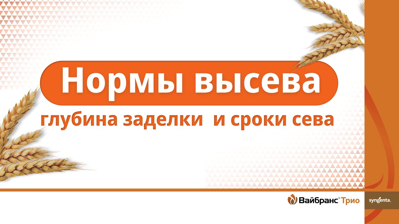 Озимые PRO. Нормы высева, глубина заделки  и сроки сева