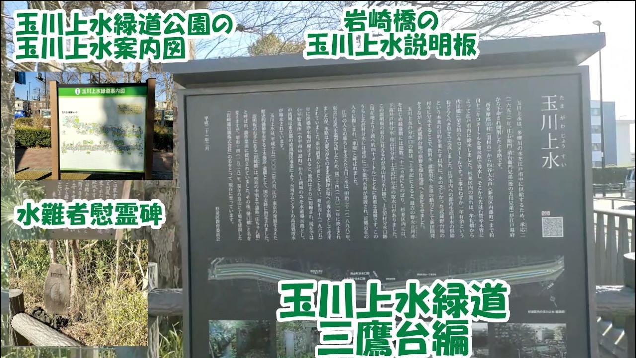 【玉川上水緑道　三鷹台編2 】毎月恒例、玉川上水緑道の散策動画　三鷹台編その2