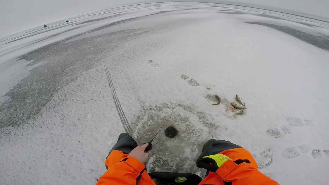 Lämmijärvel 17.12.2016