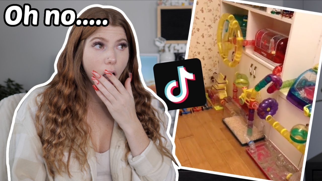 Reacting to CRAZY Hamster tik toks