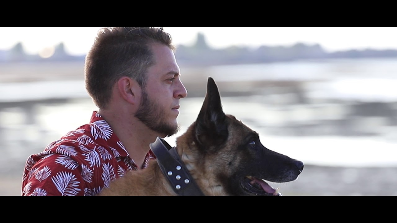 Vid&eacute;o d'hommage &agrave; toi mon chien ! Hommage &agrave; Bingo mon berger belge malinois