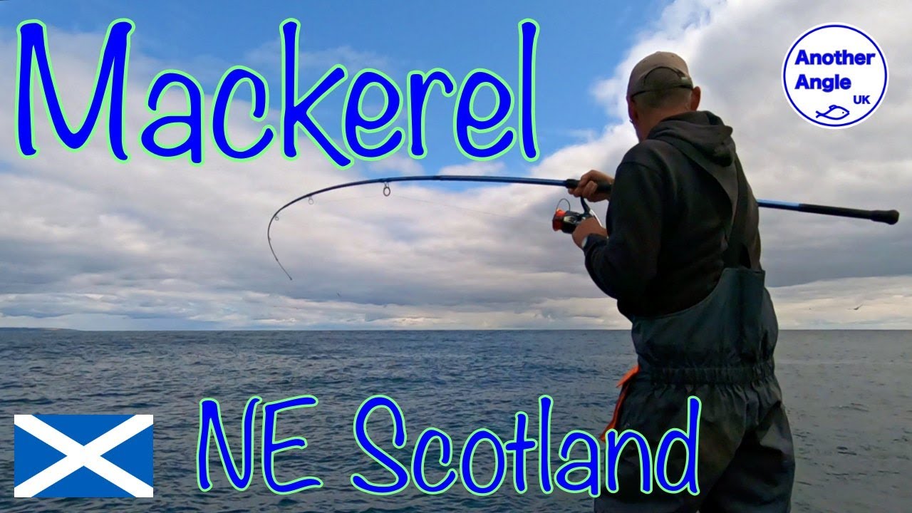 Mackerel fishing from the shore : North East Scotland : Aberdeenshire
