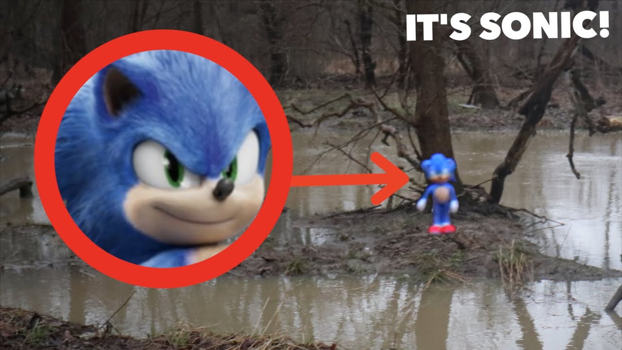 I FOUND SONIC IN REAL LIFE!