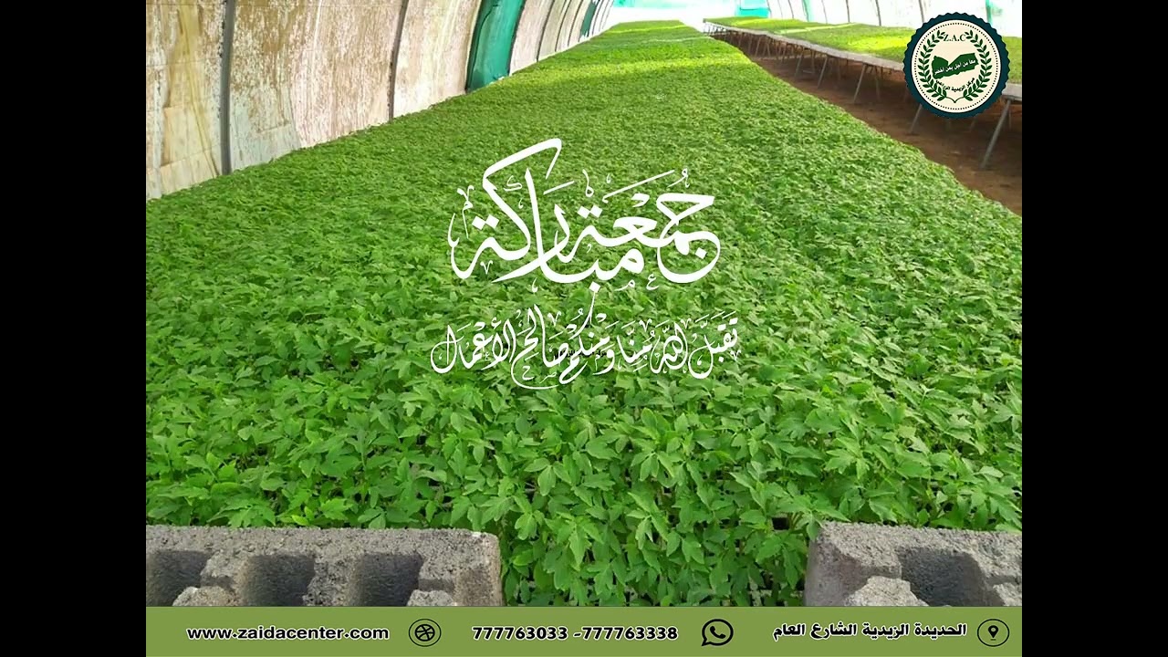 سابقوا إلى مغفرة من رَّبِّكُمْ وَجَنَّةٍ عرضها كَعَرْضِ السَّمَاءِ والأرض
