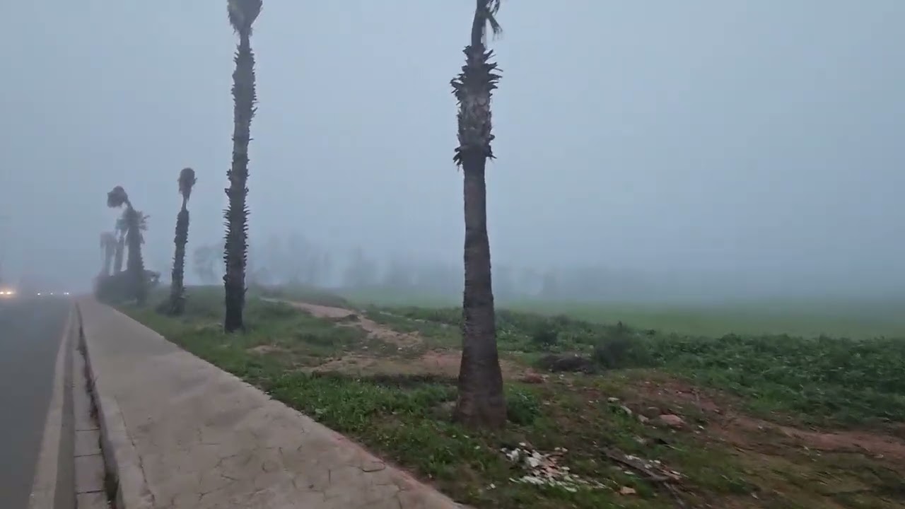 أجواء المساء في كازا الضباب  و الطبيعة 