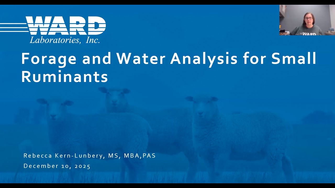 Forage and Water Analysis for Small Ruminants