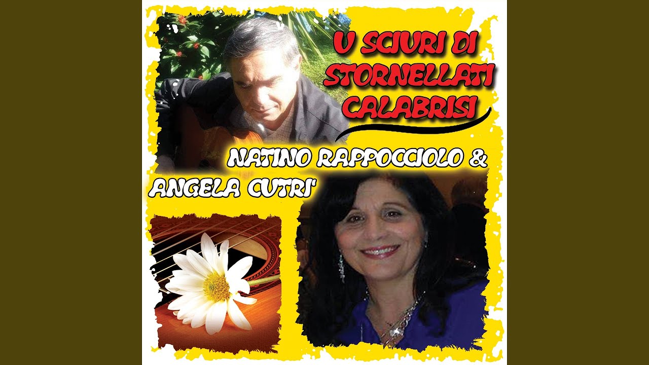 Trenta carrini