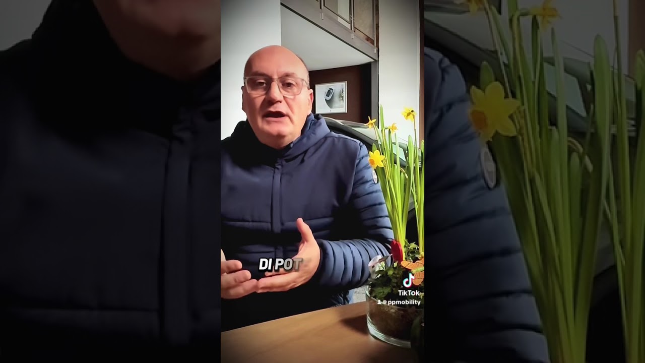 Ma davvero comprate le auto online?