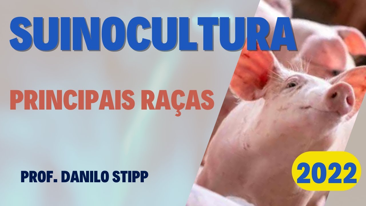 #2 - Principais raças de suínos
