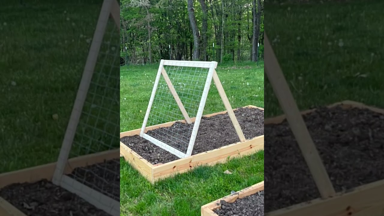 16 DIY Cucumber Trellis Ideas to Save Space