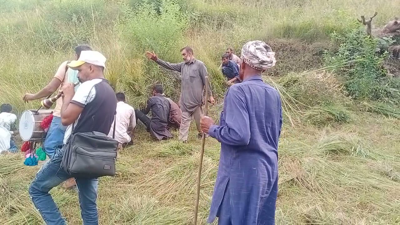 grass cutting