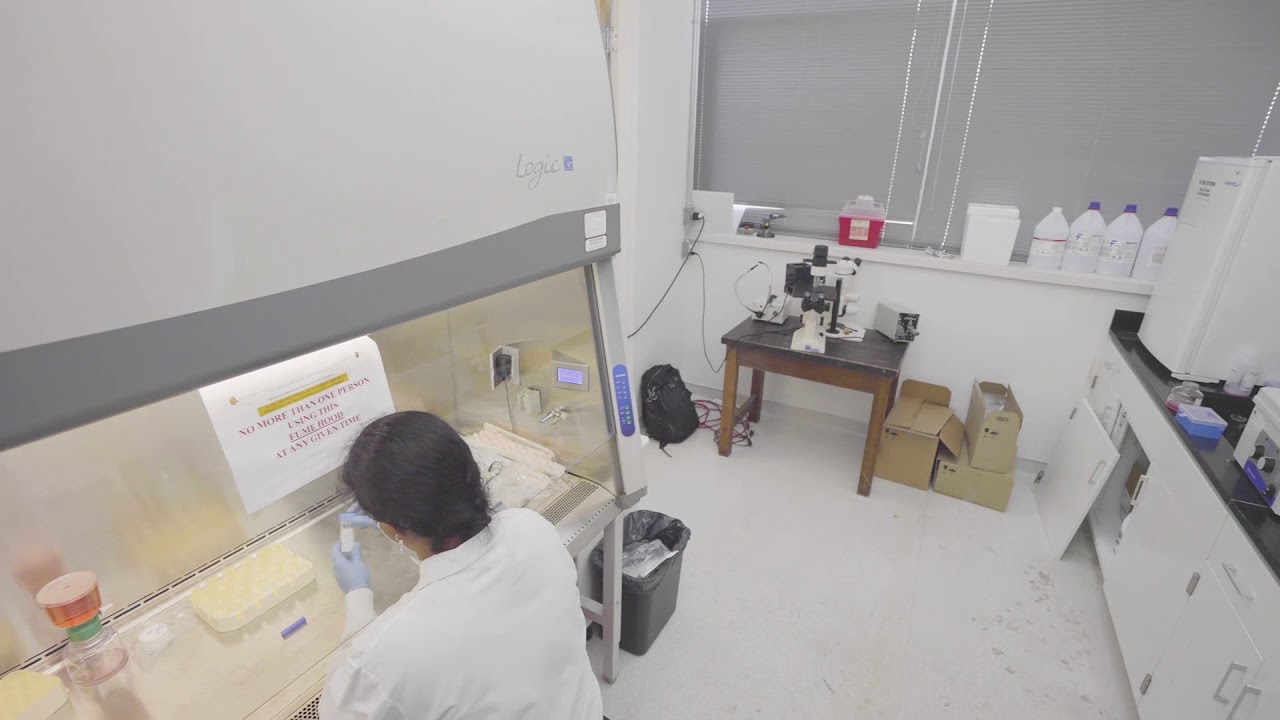 Joint School of Nanoscience and Nanoengineering