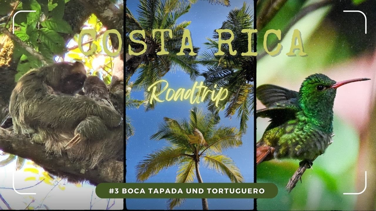 Costa Rica Teil 3 Boca Tapada und Tortuguero