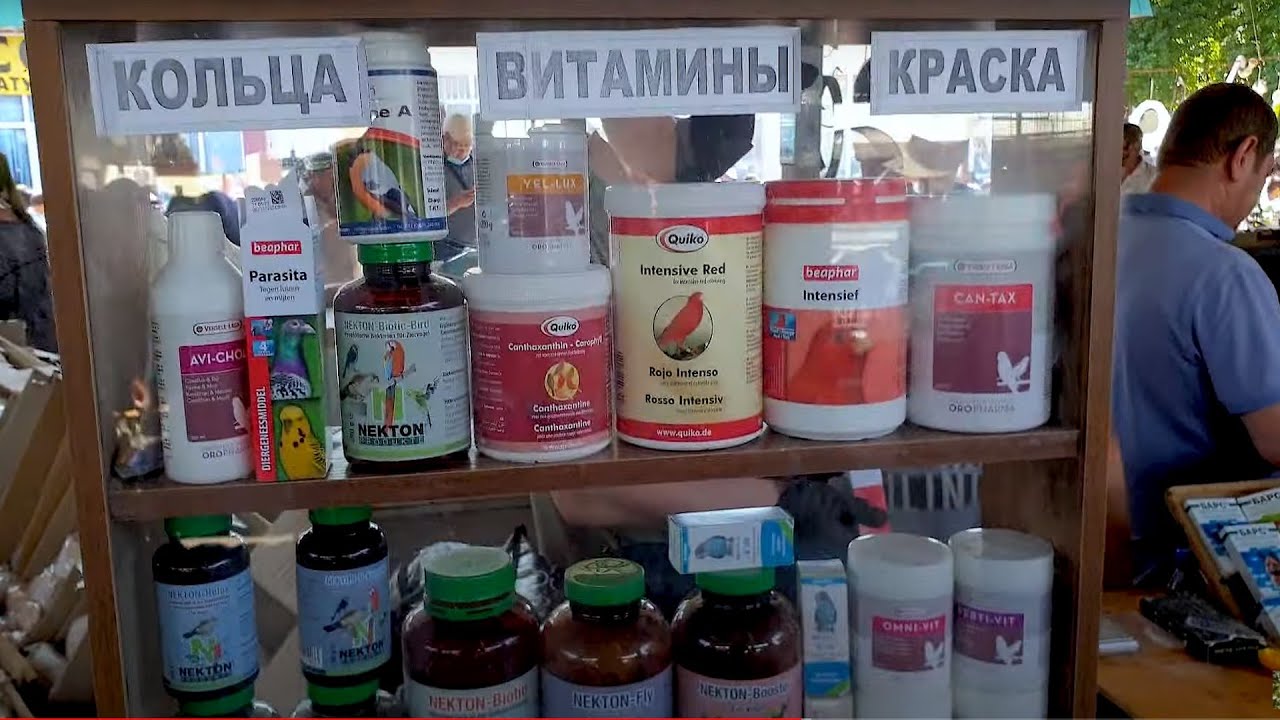 Тошкент қуш бозори: Аксессуарлар 29.05.21 Ташкент птичий рынок аксессуары для птиц