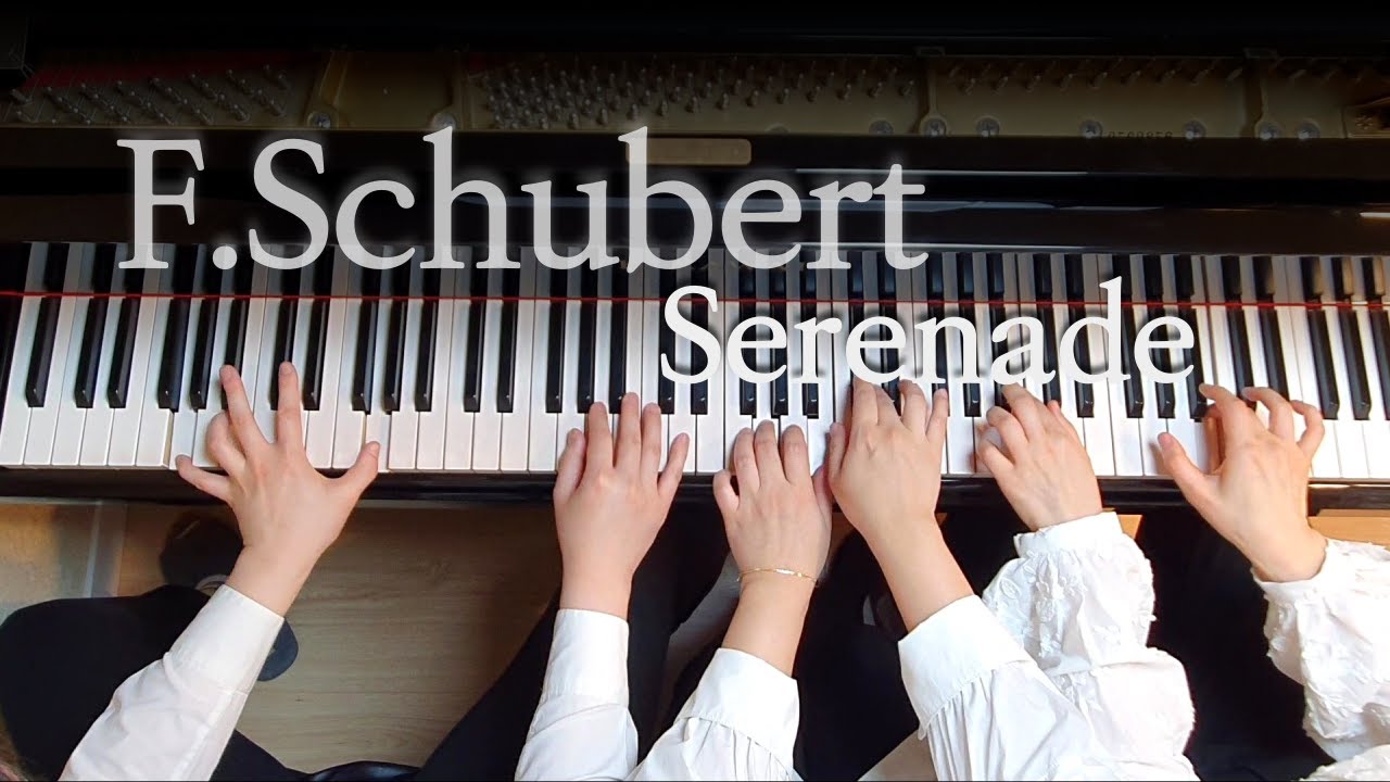 Serenade :: 6Hands Piano 세레나데