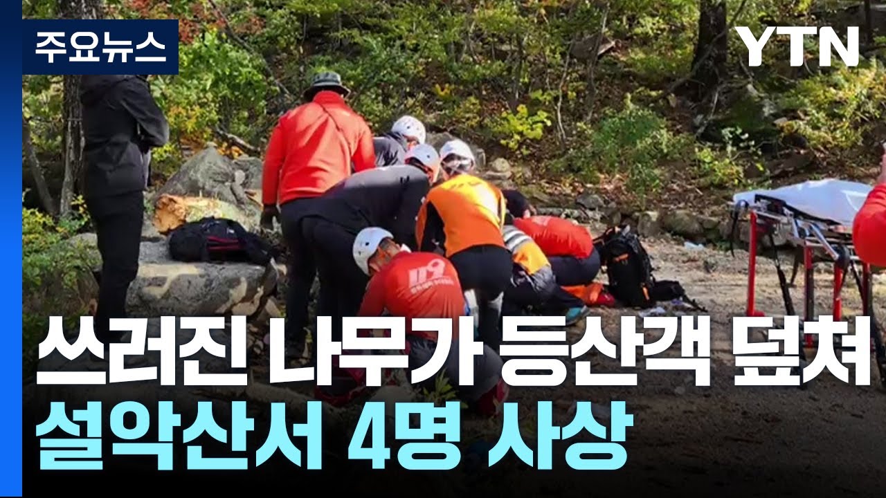 설악산 강풍에 쓰러진 나무 등산객 덮쳐...4명 사상 / YTN