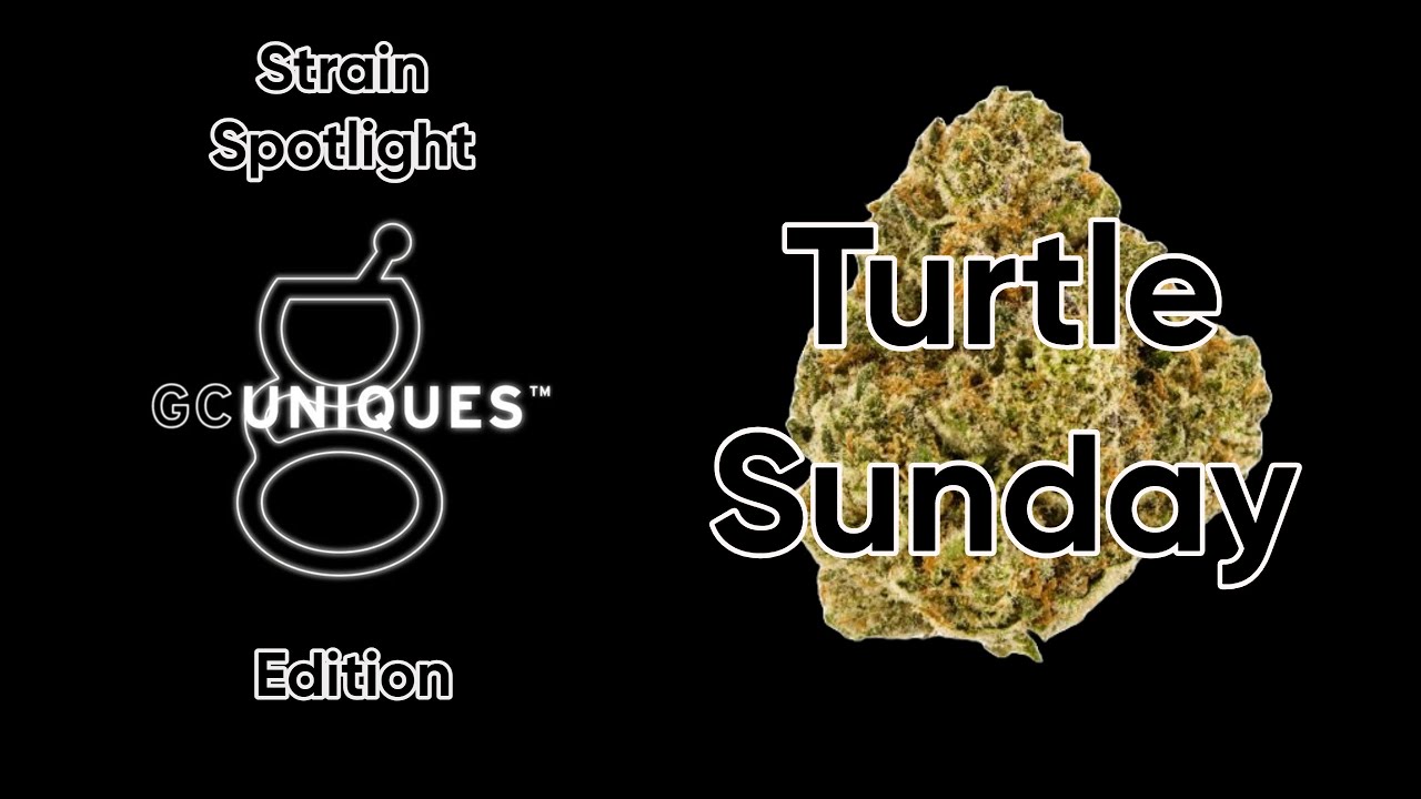Turtle Sunday - Strain Spotlight - GC Uniques Edition