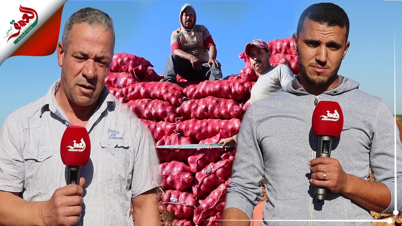 بعد تأمين معبر الكركرات.. التجار المغاربة يستأنفون تصدير الخضروات والفواكه نحو دول إفريقيا