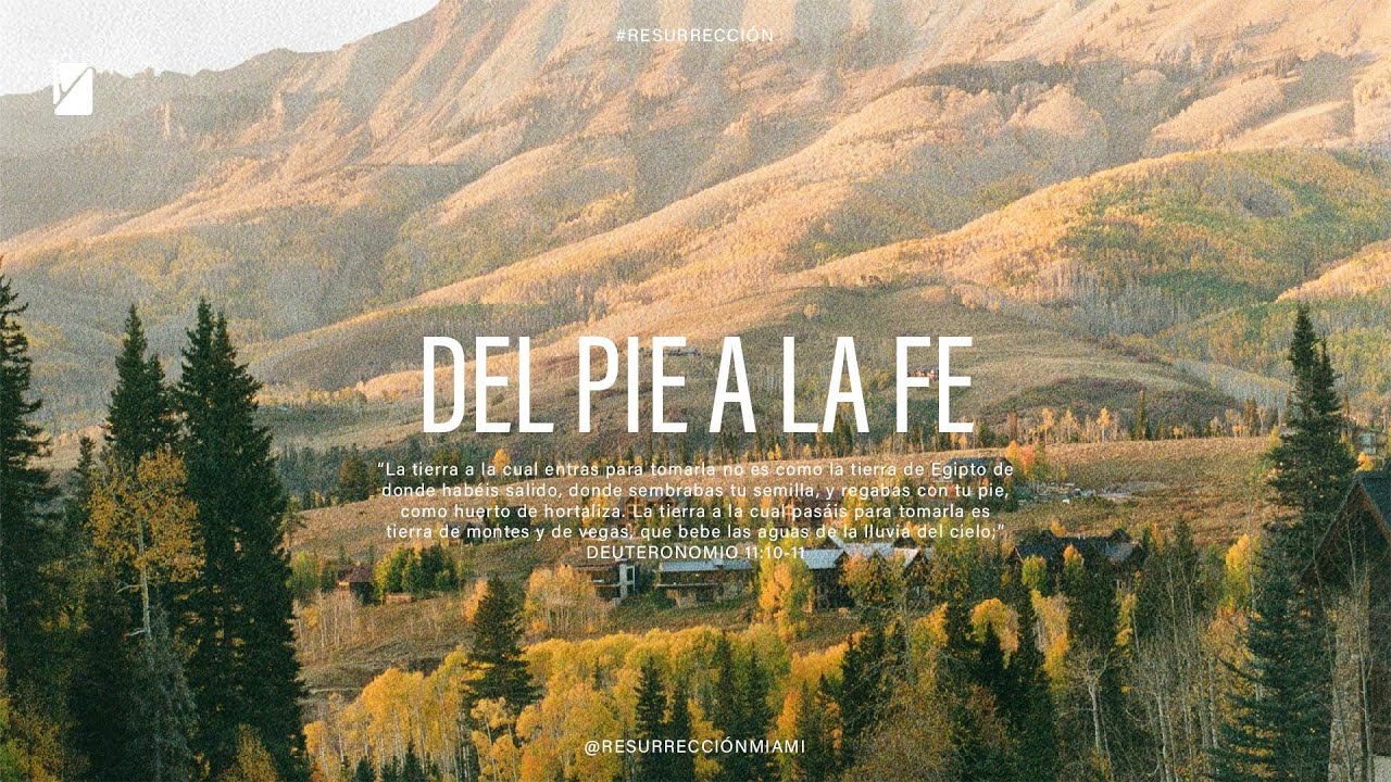 IBR Miami | DEL PIE A LA FE