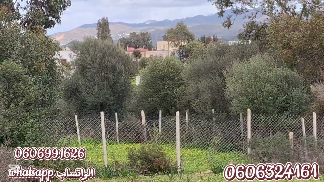 قطعة ارضيه 3500متر محفظة واصلا الماء والضوء والطريق نواحي تطوان 