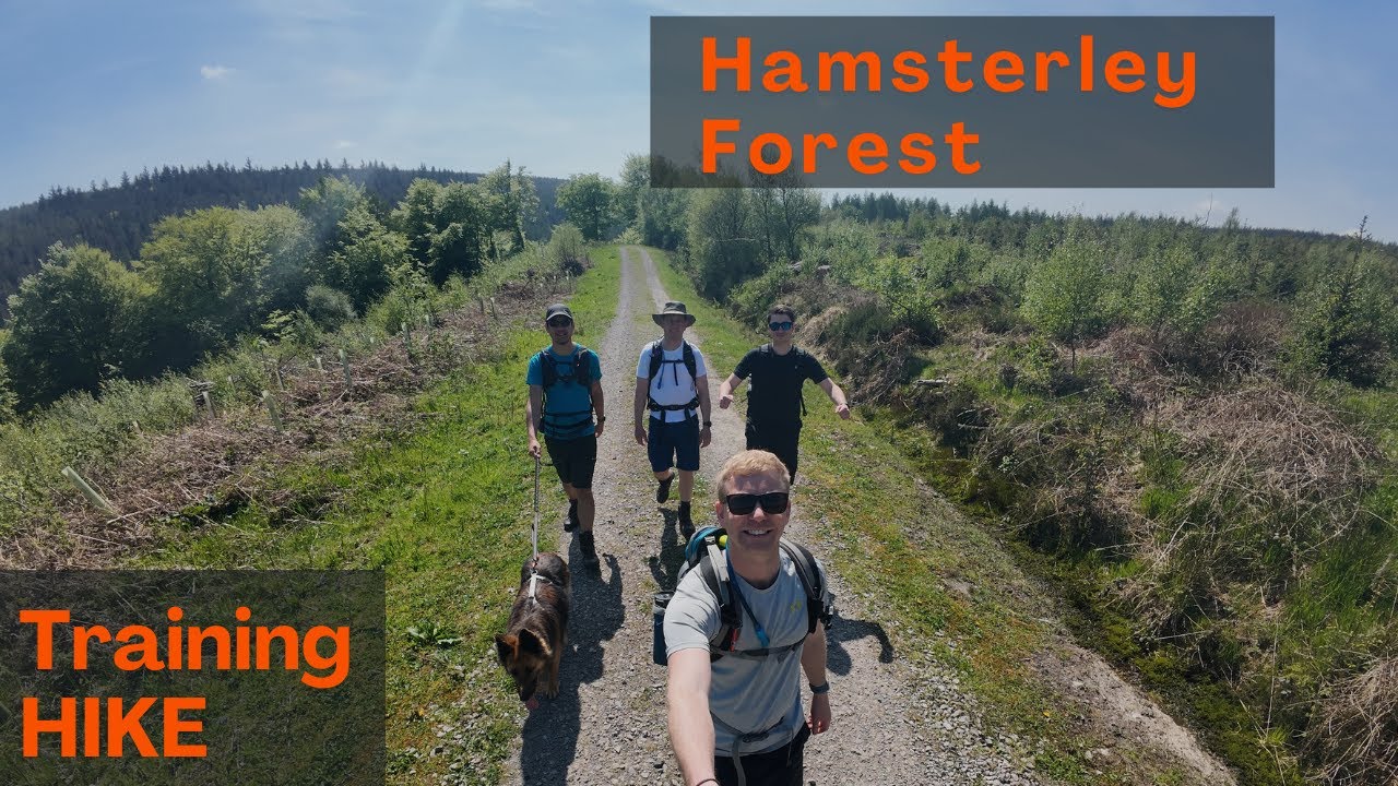 Hamsterley Forest: Hiking Video | DJI Action 4 | DJI Mini 3