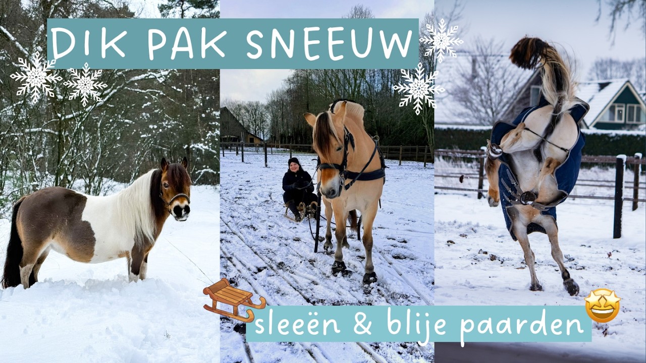 Sleeën in de sneeuw met Pien ❄️🛷 & springlessen met Onirah! 💪