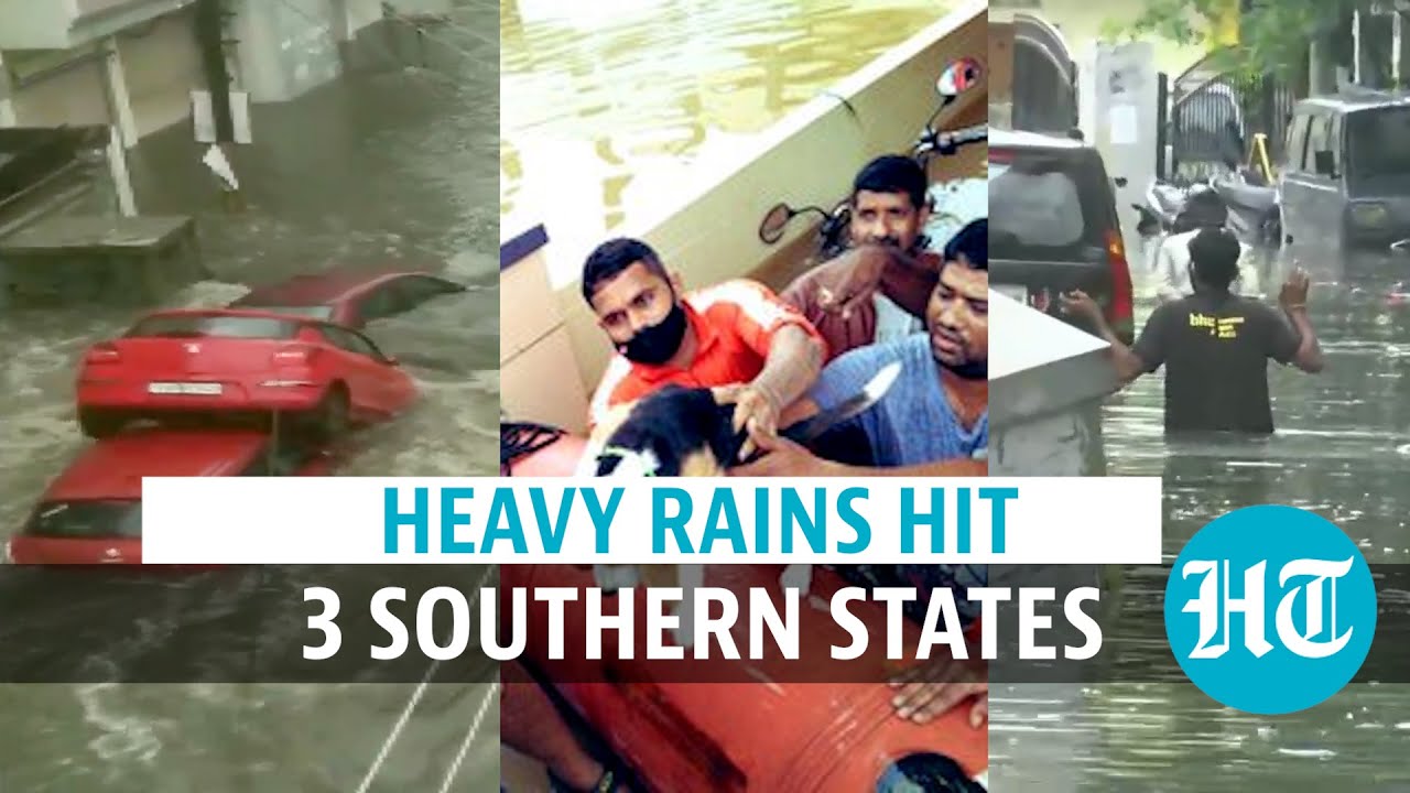 Telangana rains: 15 dead; 2-day holiday; SDRF deployed | Latest updates