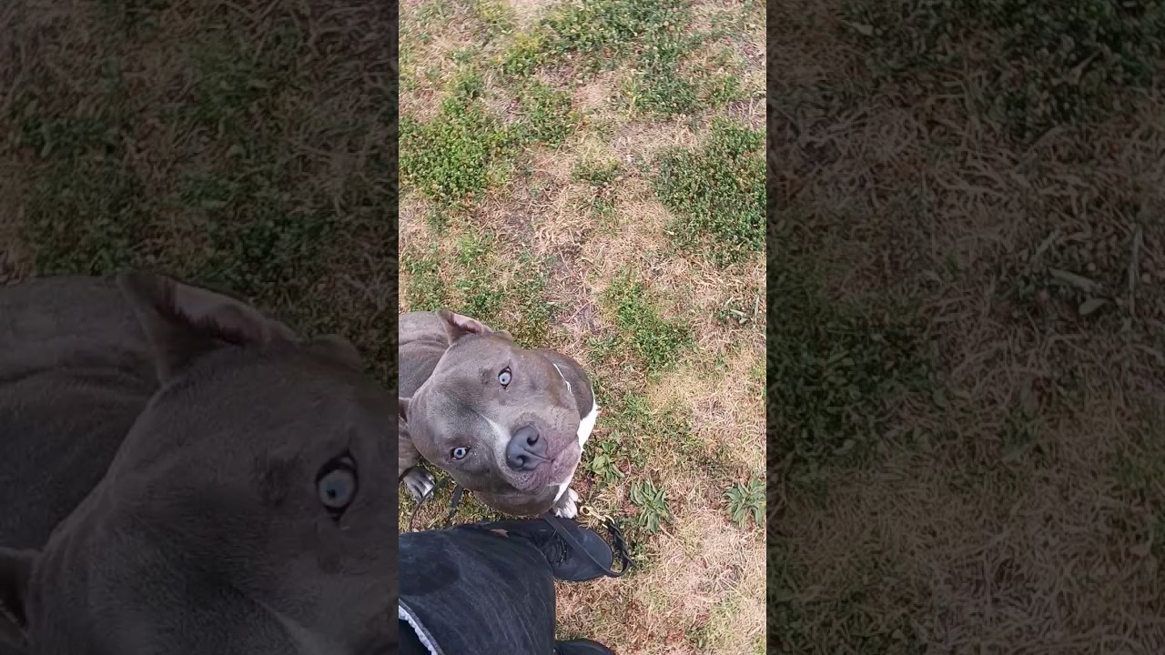 0ffleash Recall to Center Finish!