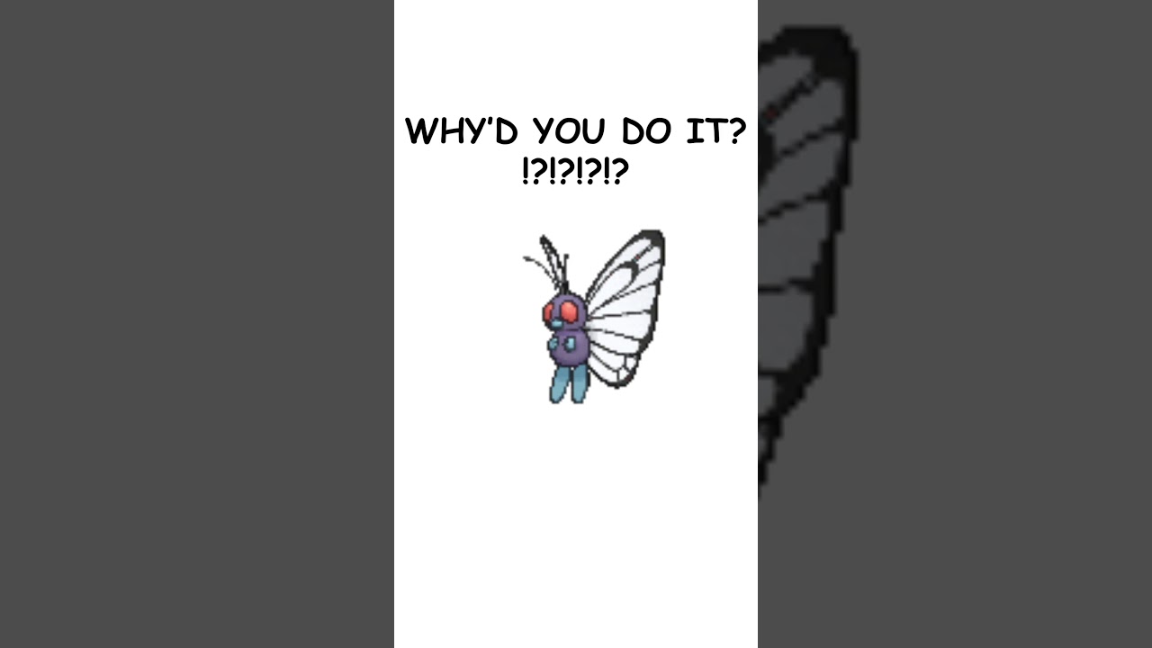 Man has MENTAL BREAKDOWN over Bye-Bye BUTTERFREE