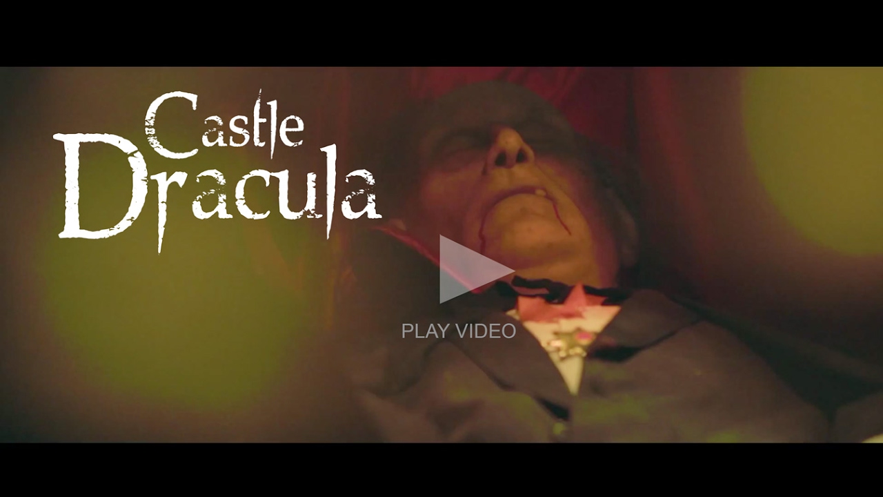 Castle Dracula Dublin - Dublin's Top Attraction!!  (Over 14's)