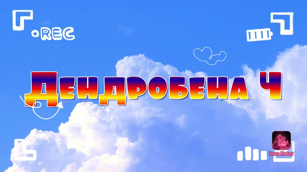 Старатель 3. Вермикомпостер собственного изготовления