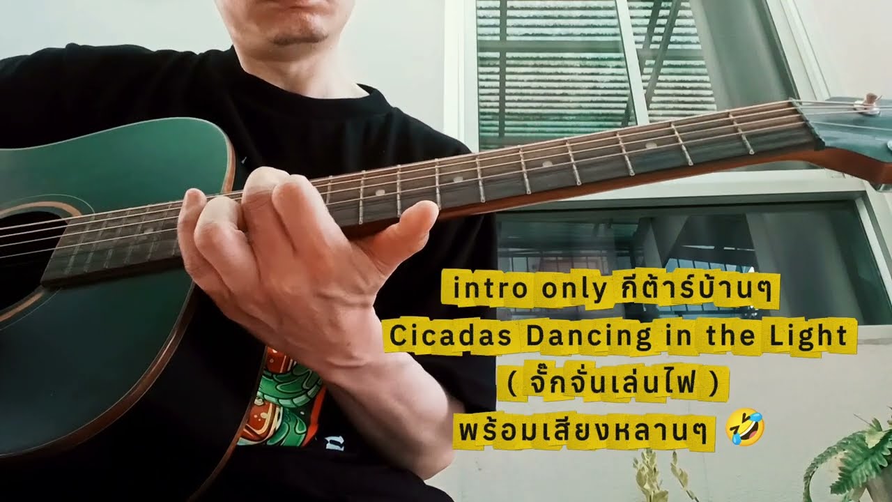 intro only กีต้าร์บ้านๆ - Cicadas Dancing in the Light (จั๊กจั่นเล่นไฟ) พร้อมเสียงหลานๆ 🤣