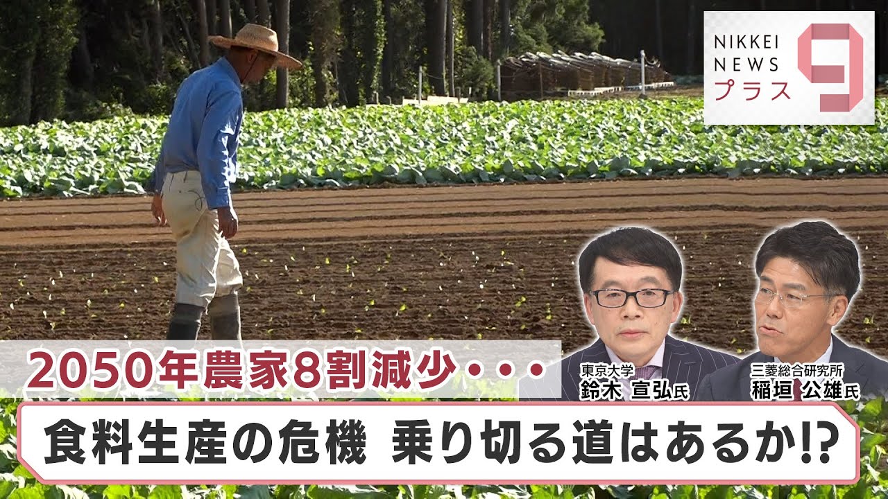2050年農家8割減少… 食料生産の危機 乗り切る道はあるか!?【日経プラス９】（2023年10月9日）