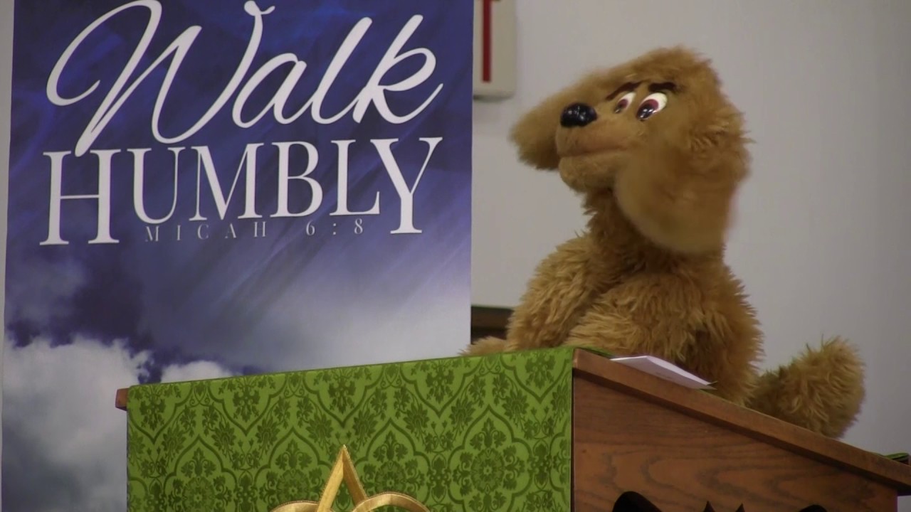 Wise Dog of the Mountain - Trinity Lutheran Mount Joy