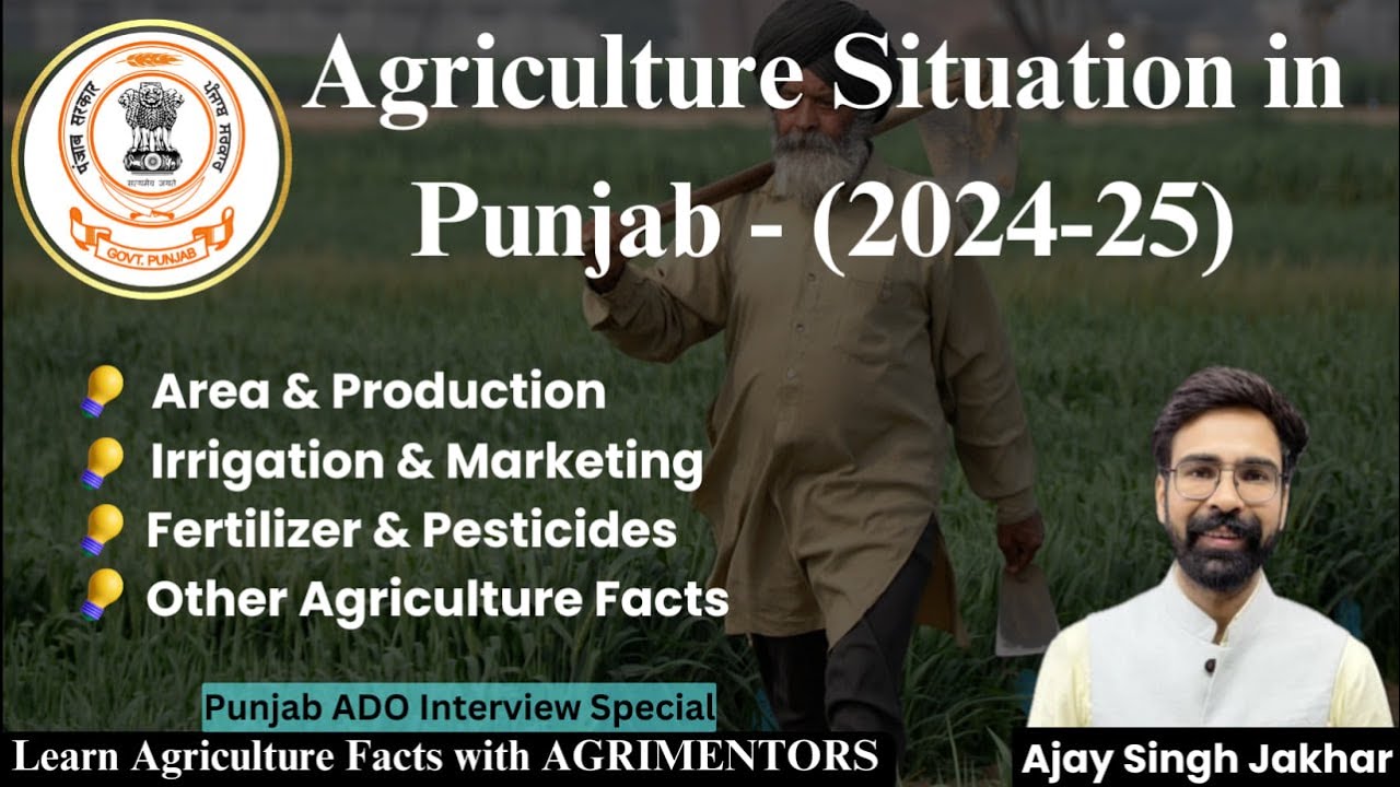 Agriculture Situation in Punjab | Crops Area & Production | Farmer's Debt | Govt Policies #Punjab