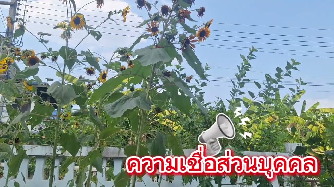 ลูกศิษย์ฟาดตัวละ4พัน