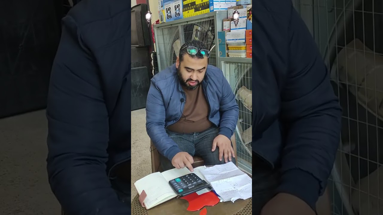 دراسة جدوى 100 فرخة تسمين
