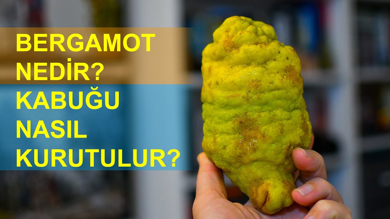 Bergamot nedir? Bergamot kabuğu nasıl kurutulur?