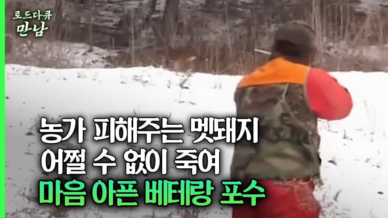 [로드다큐 만남 68회②] 농가 피해주는 멧돼지 어쩔 수 없이 죽여 마음 아픈 베테랑 포수